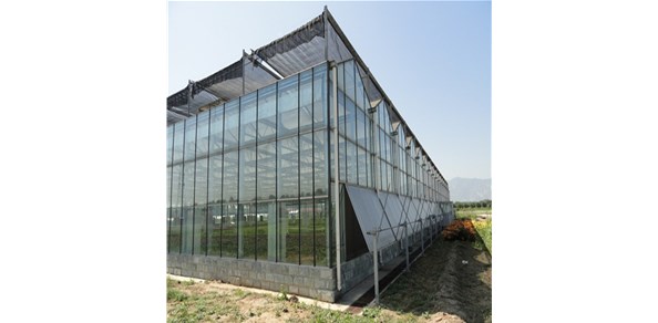 1月25日 營(yíng)銷(xiāo)政策調(diào)整，市場(chǎng)成交減少！